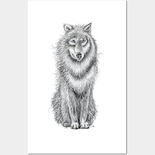 White Wolf Posters and Art